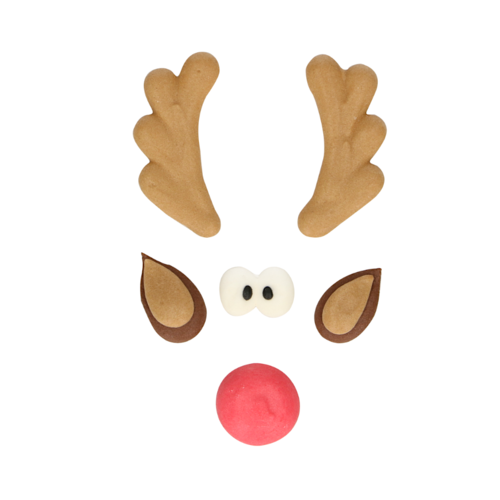 [EXP. PROCHE] DCORATIONS EN SUCRE FUNCAKES - RUDOLPH