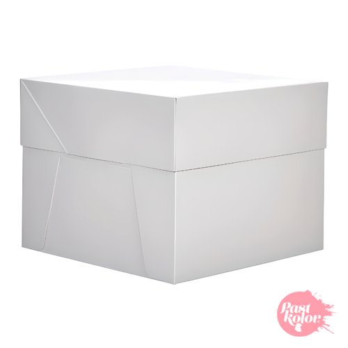 CAJA PARA TARTA RECTANGULAR BLANCA - 45 x 35 CM