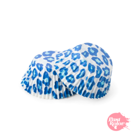 CAISSETTES  CUPCAKES LOPARD BLEU - 30 UNITS