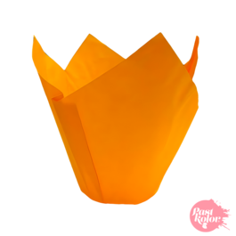 TULIPES POUR MUFFINS ORANGES - 24 UNITS