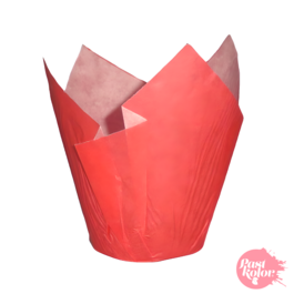 TULIPES POUR MUFFINS ROUGES - 24 UNITS