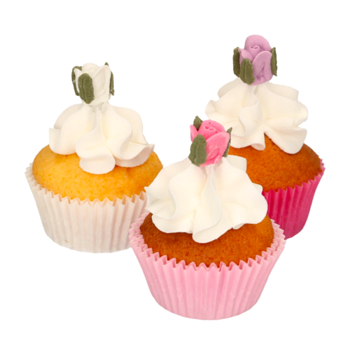 DCORATIONS EN SUCRE FUNCAKES - ROSES AVEC FEUILLES