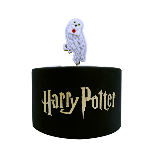 POCHOIR POUR GTEAUX PME - "HARRY POTTER".